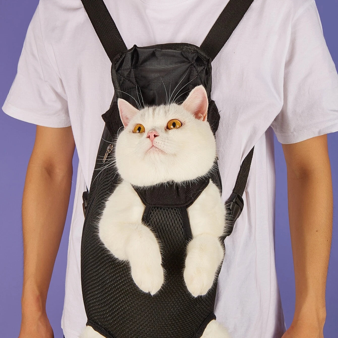 sac-pour-chat-yeux