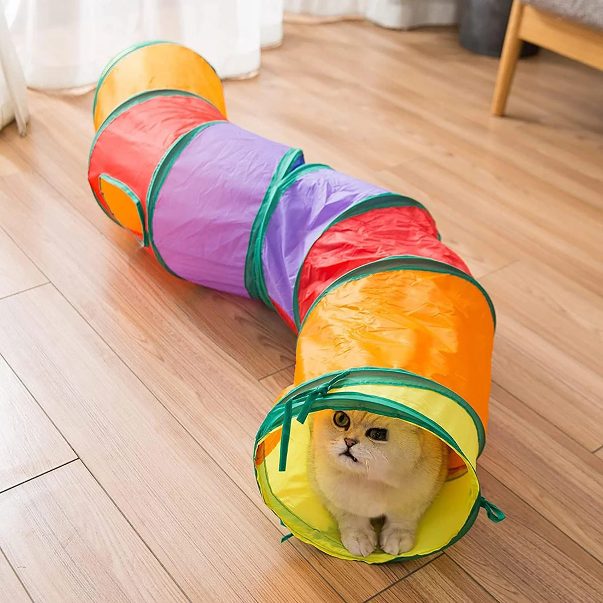 tunnel-pour-chat-couverture