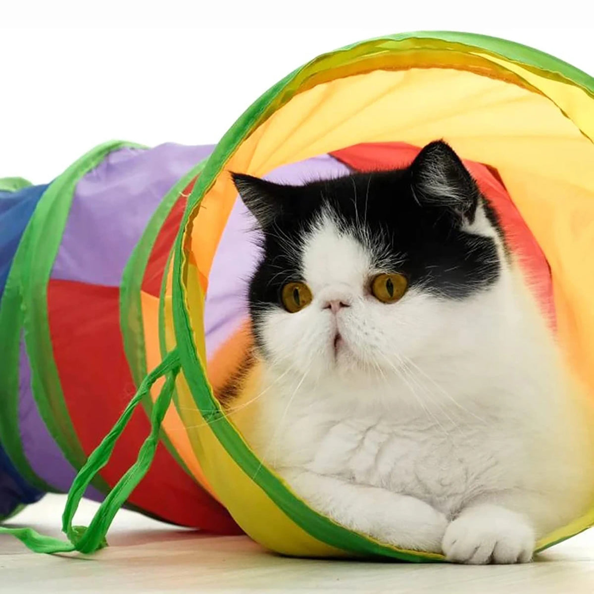 tunnel-pour-chat-repos