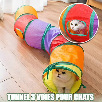 tunnel-pour-chat-sortie